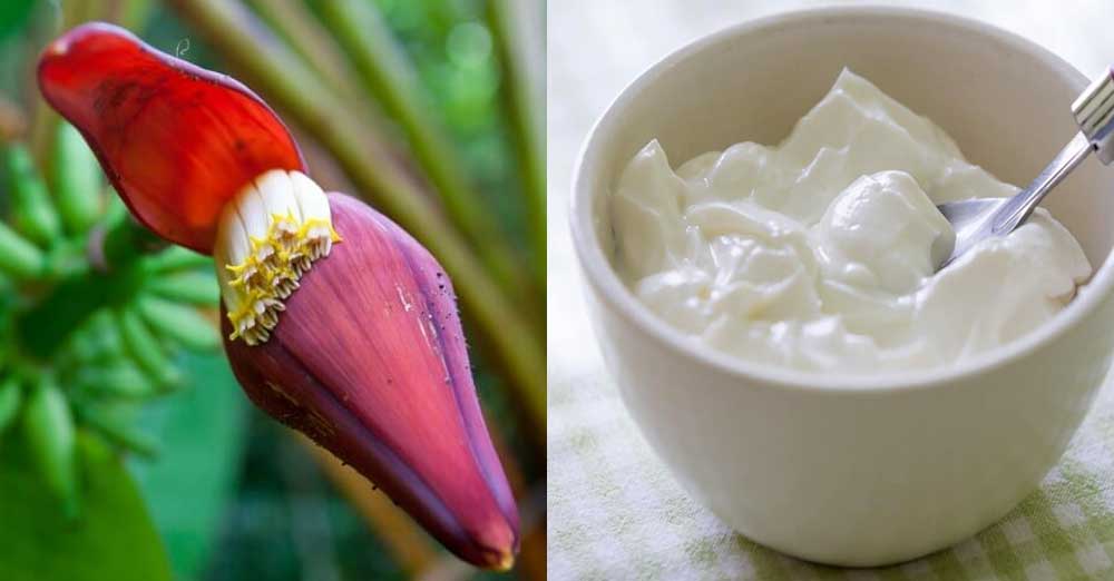 Banana-Flower-And-Dahi