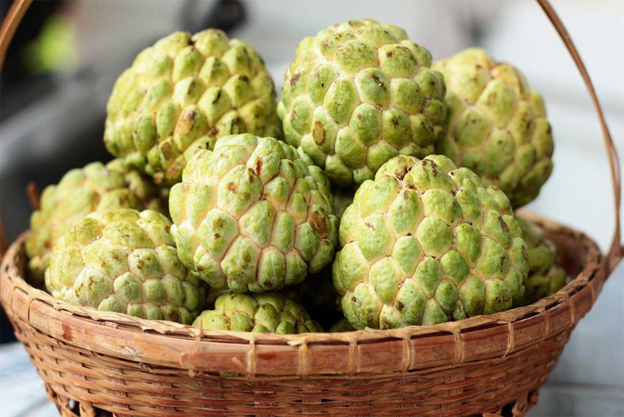 Custard Apple