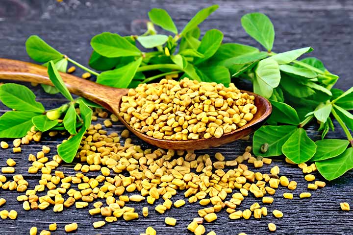 Fenugreek