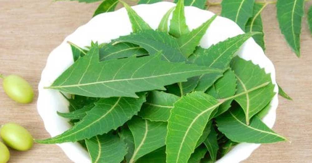 Neem