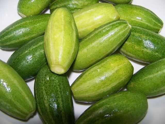 Pointed Gourd