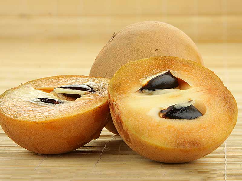 Sapodilla or Chikoo