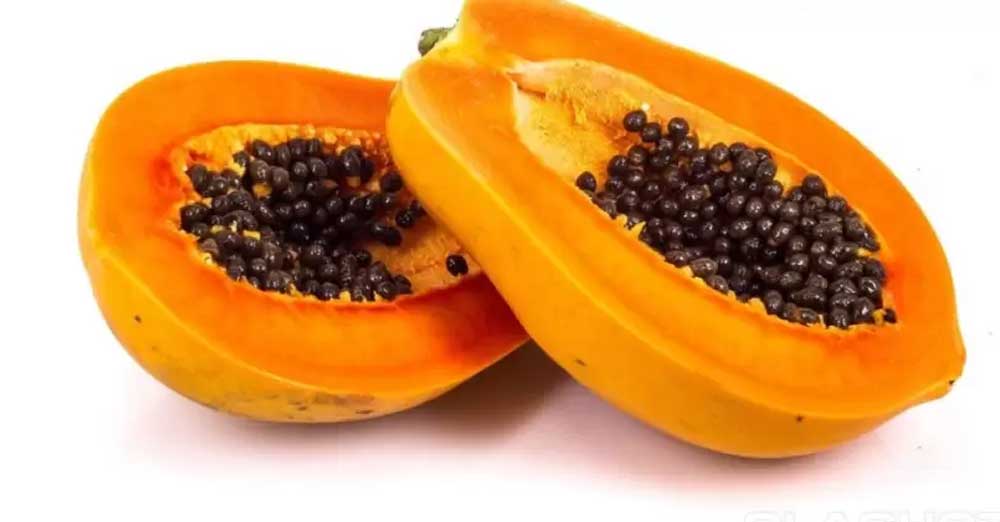 papaya