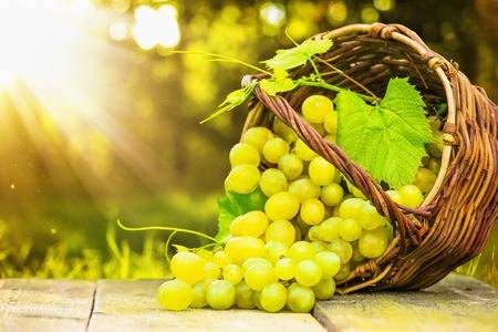 44173968 ripe grapes in wicker basket on sunny background