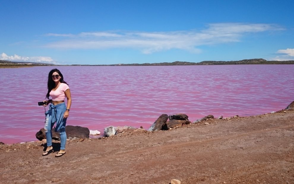 Pink Lake 5