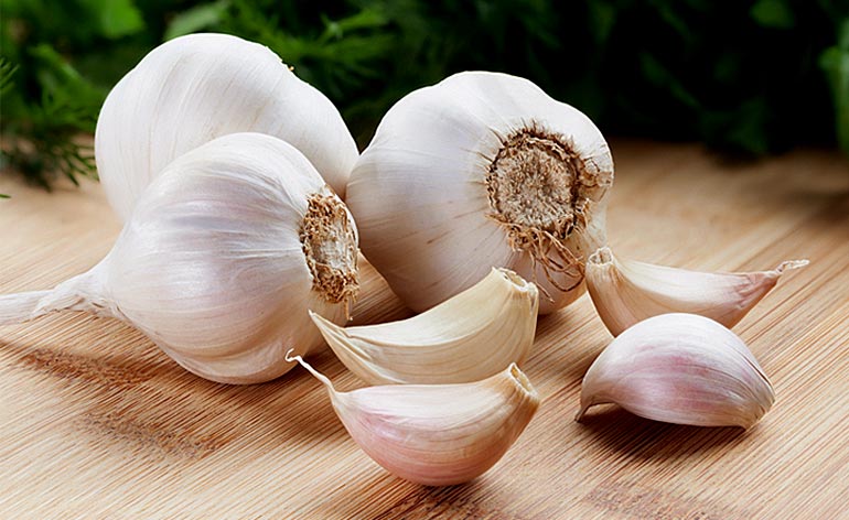 garlic 5