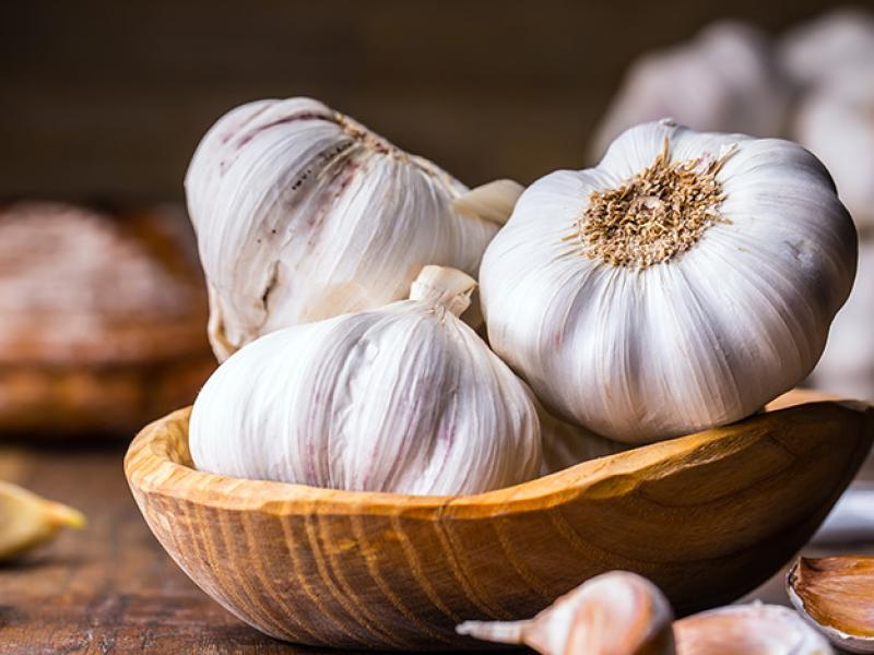 garlic