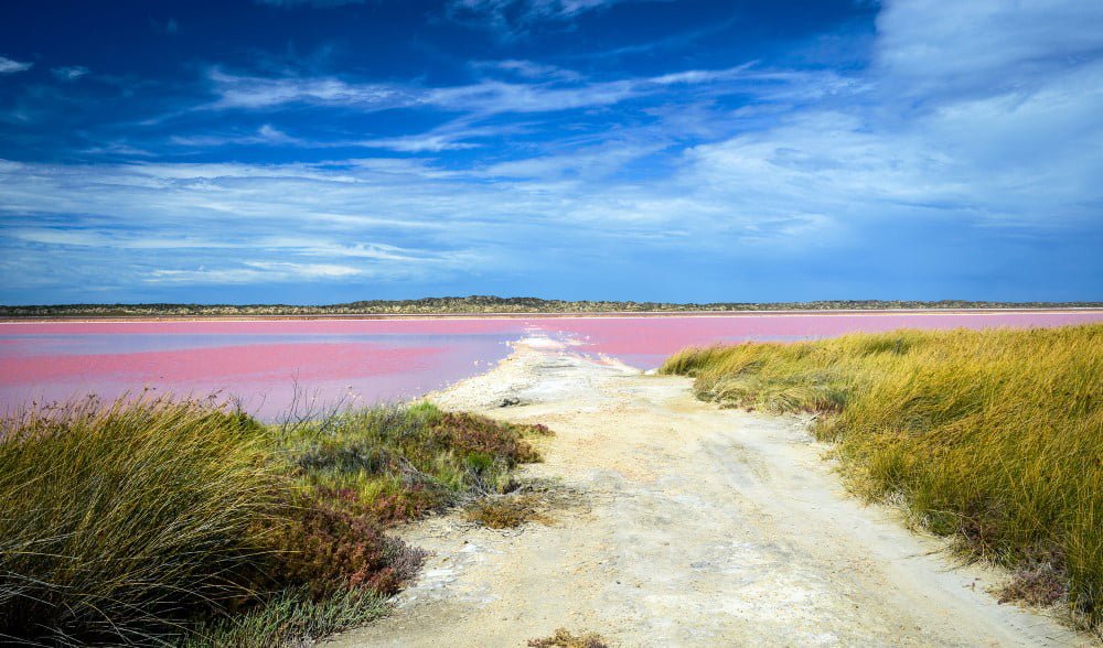 pink lake 2