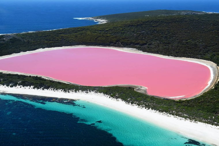 pink lake