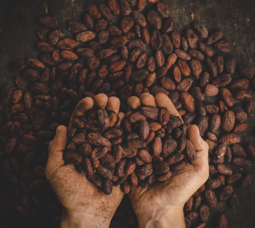 cocoa beans Montes Unsplash