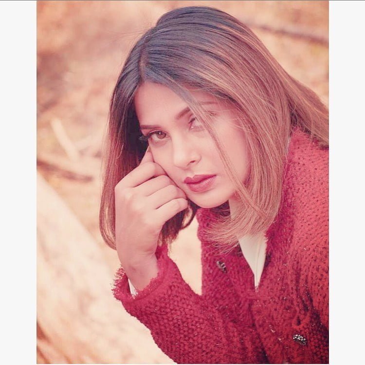 jenniferwinget1 64610067 446250712599025 991276156832777112 n