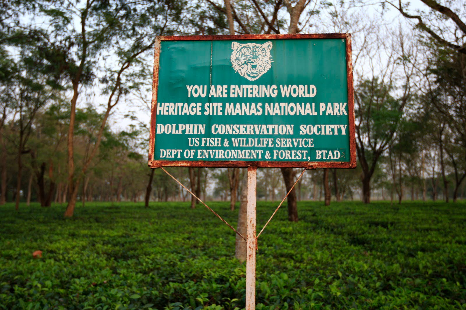 Manas wildlife sanctuary