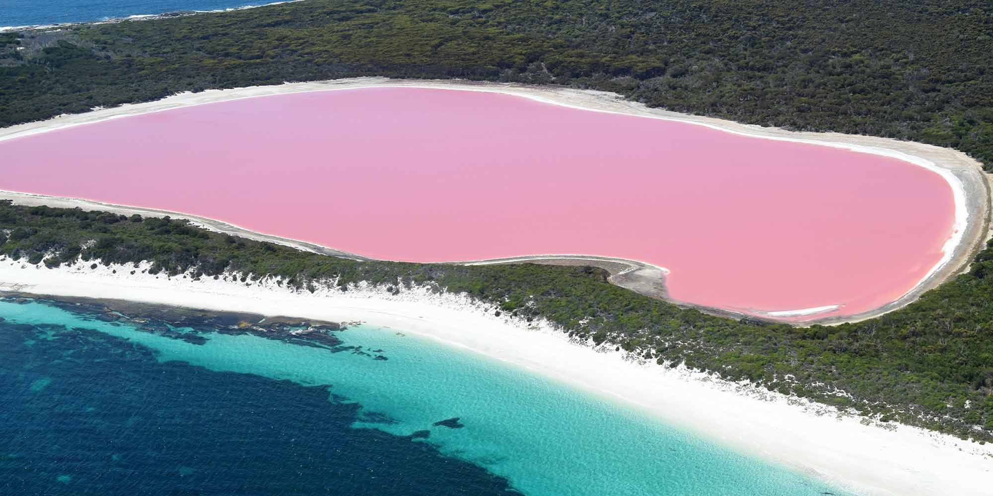 PINK LAKE 1