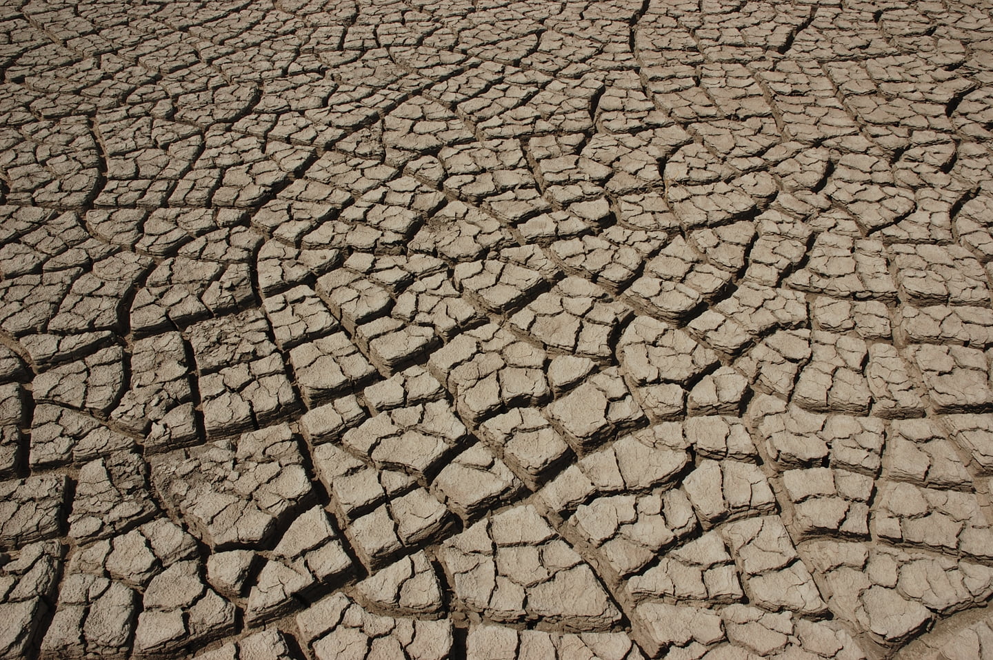 Cracked earth in the Rann of Kutch