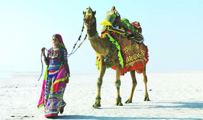 Rann Kutch 1