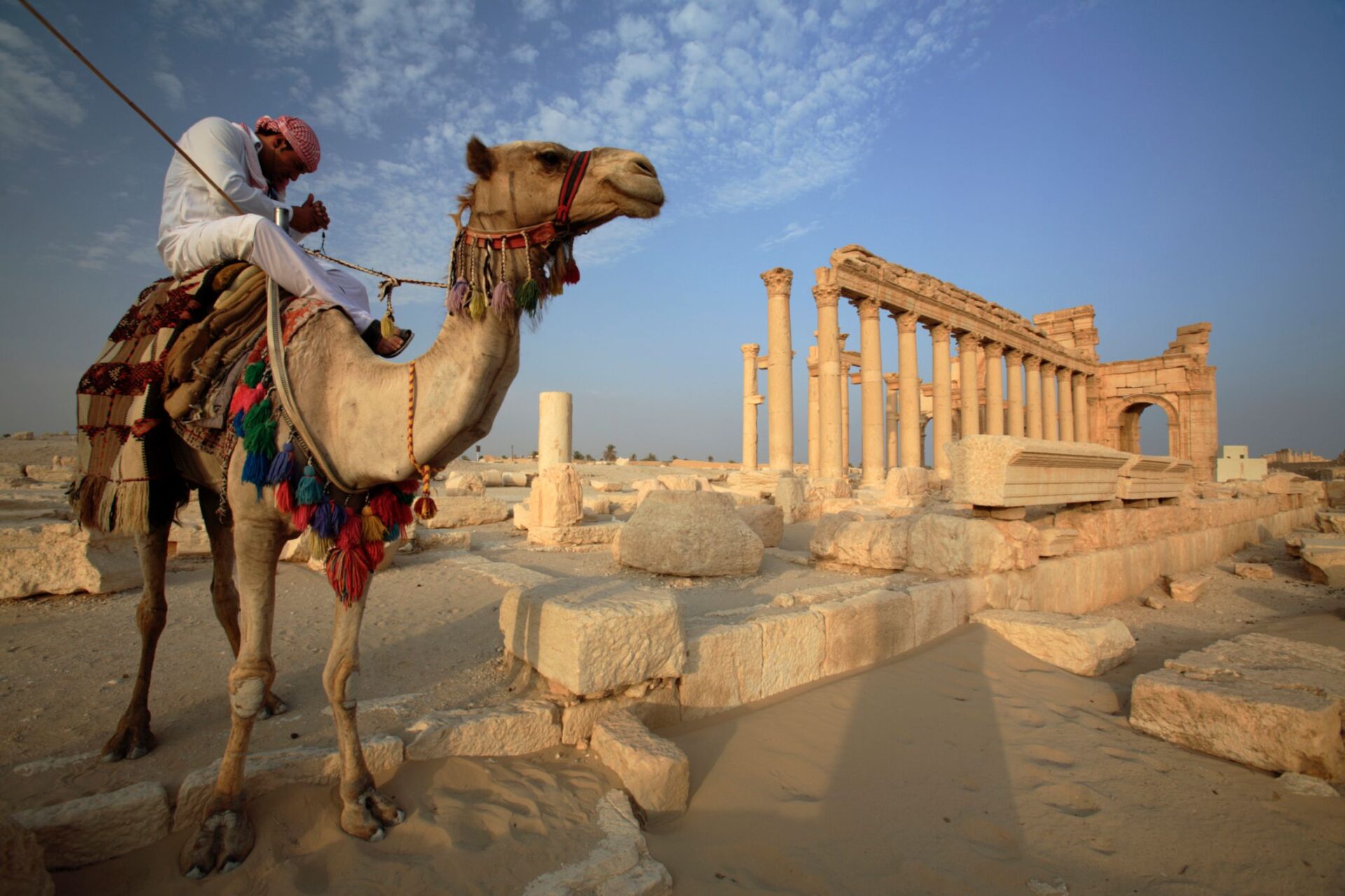 dromedary palmyra 56a023c65f9b58eba4af220d