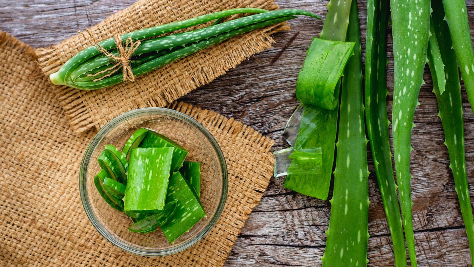 Aloe vera is the holy grail plant youre missing in your life featured