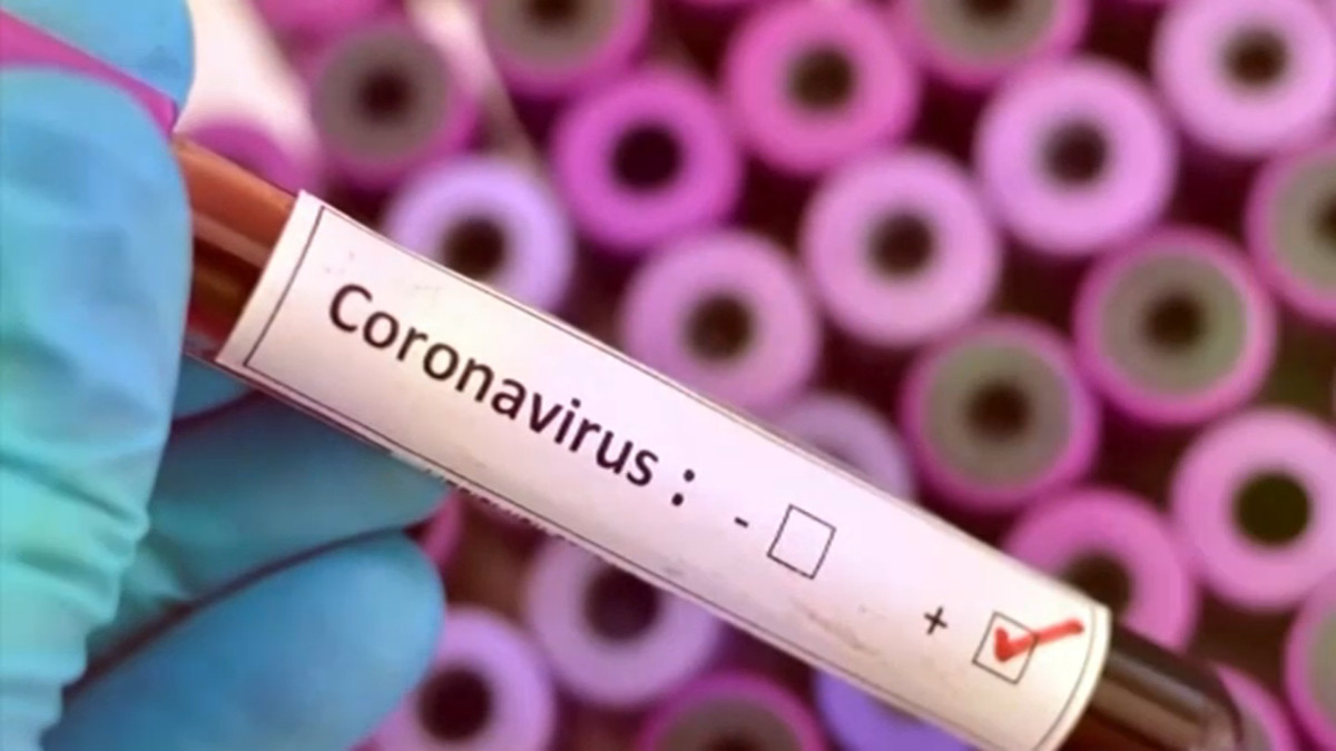 Coronavirus file 2