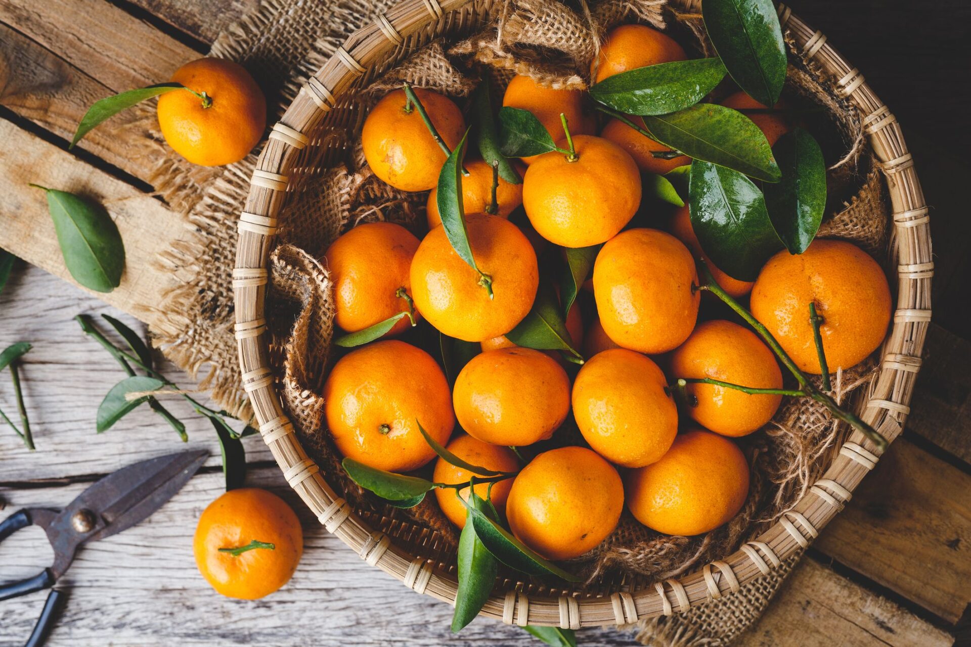 directly above view of oranges in basket on table royalty free image 1586961215 1