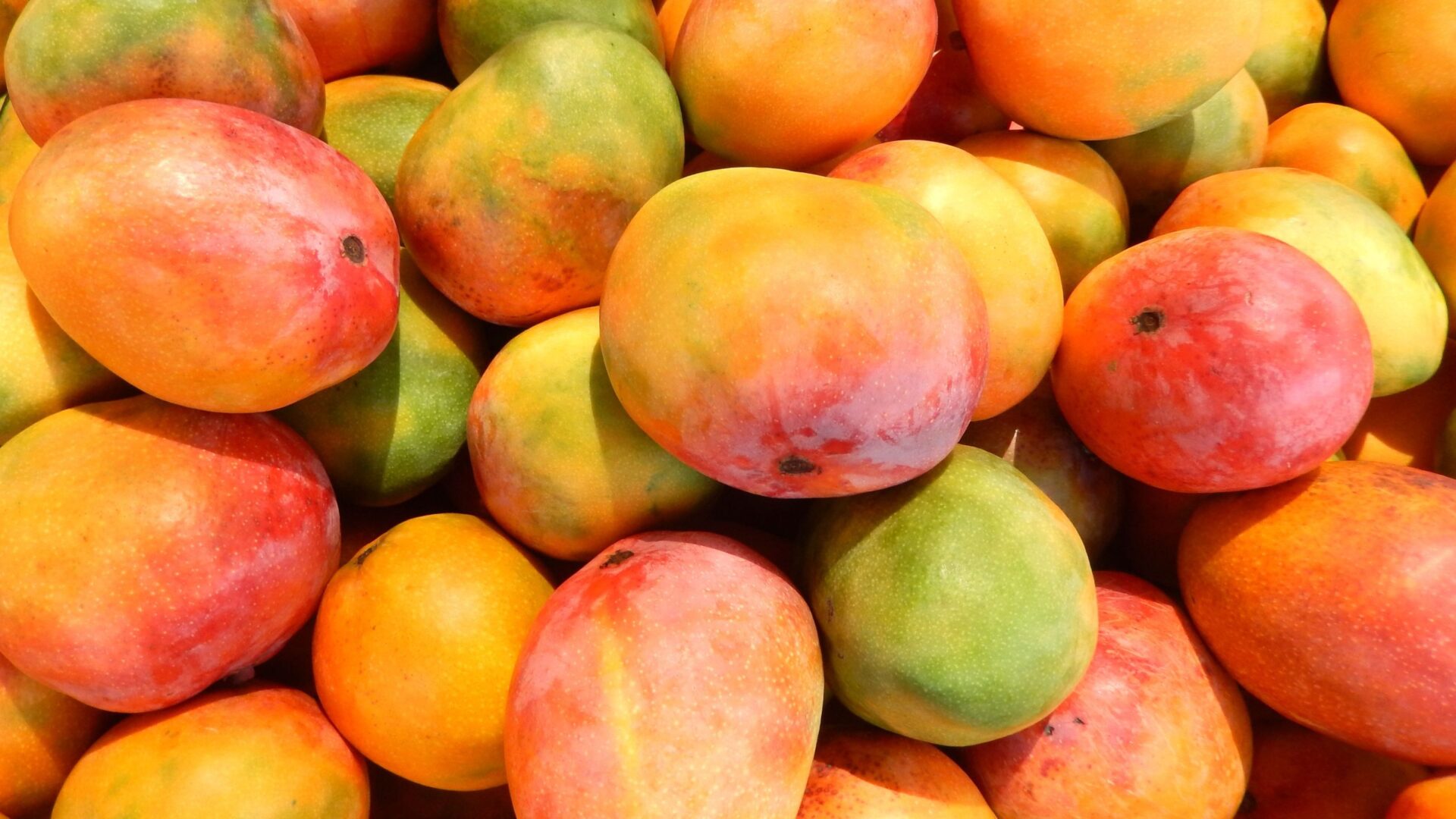 mango at the market 506813675 587e60f53df78c17b6967f5e scaled