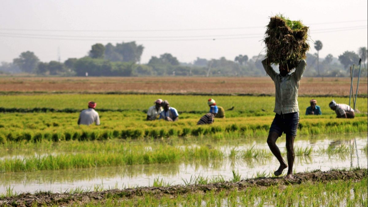 Good News for Farmers 1200x675 1