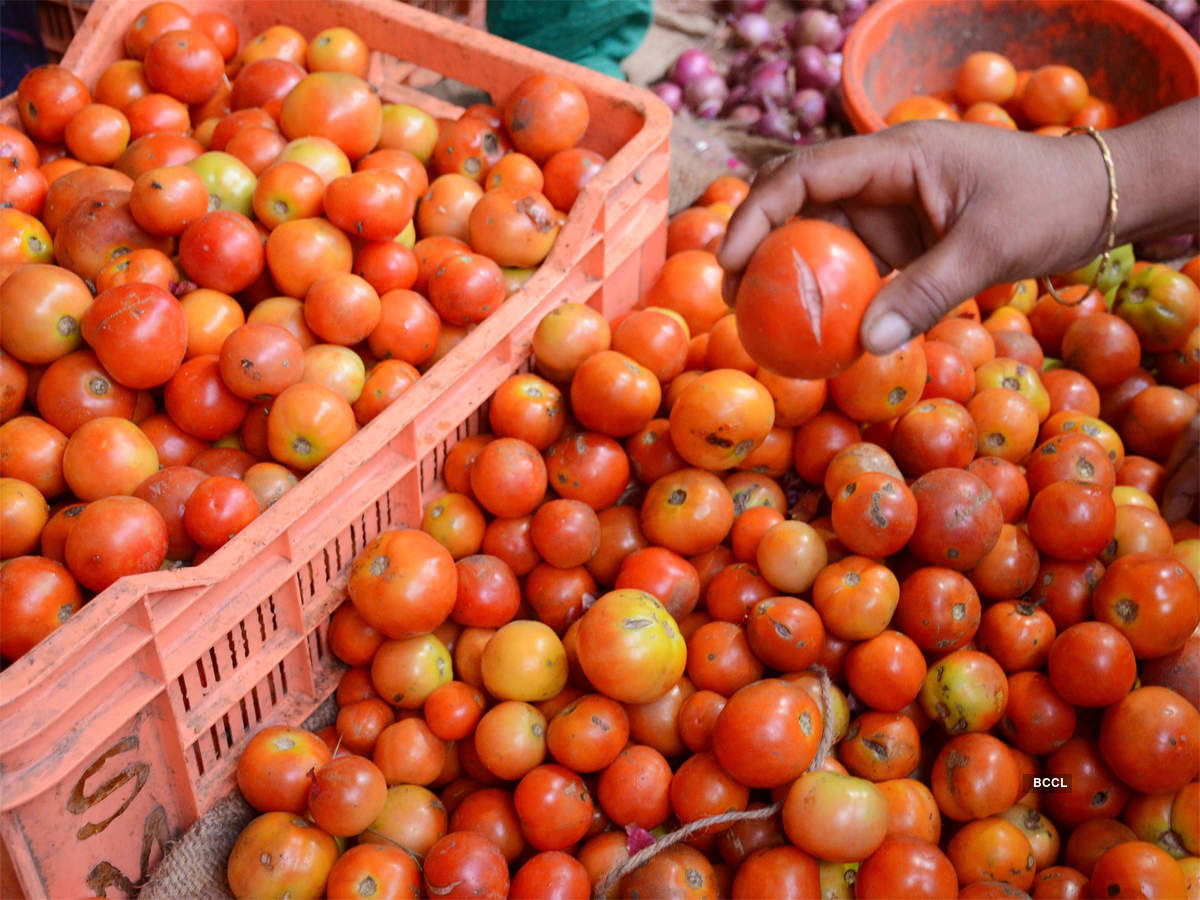 tomato bccl