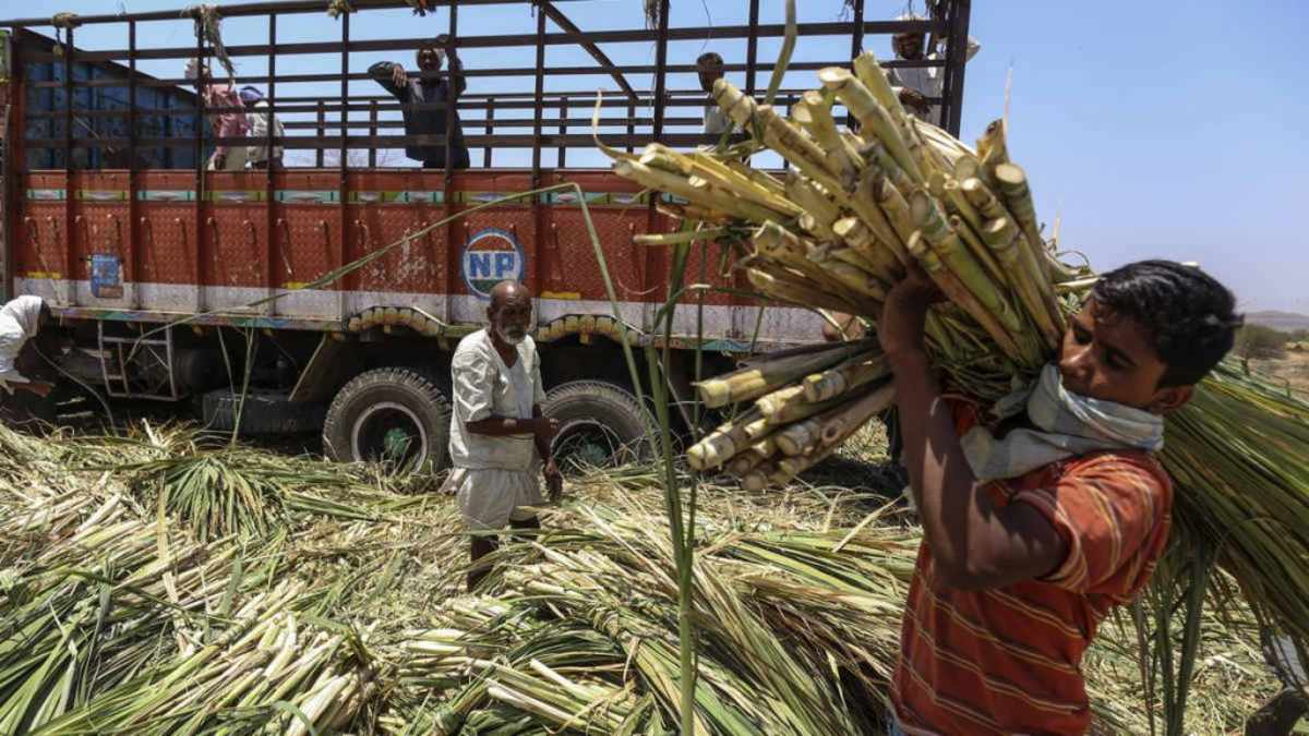 Sugarcane farmers 1024x576 1 1