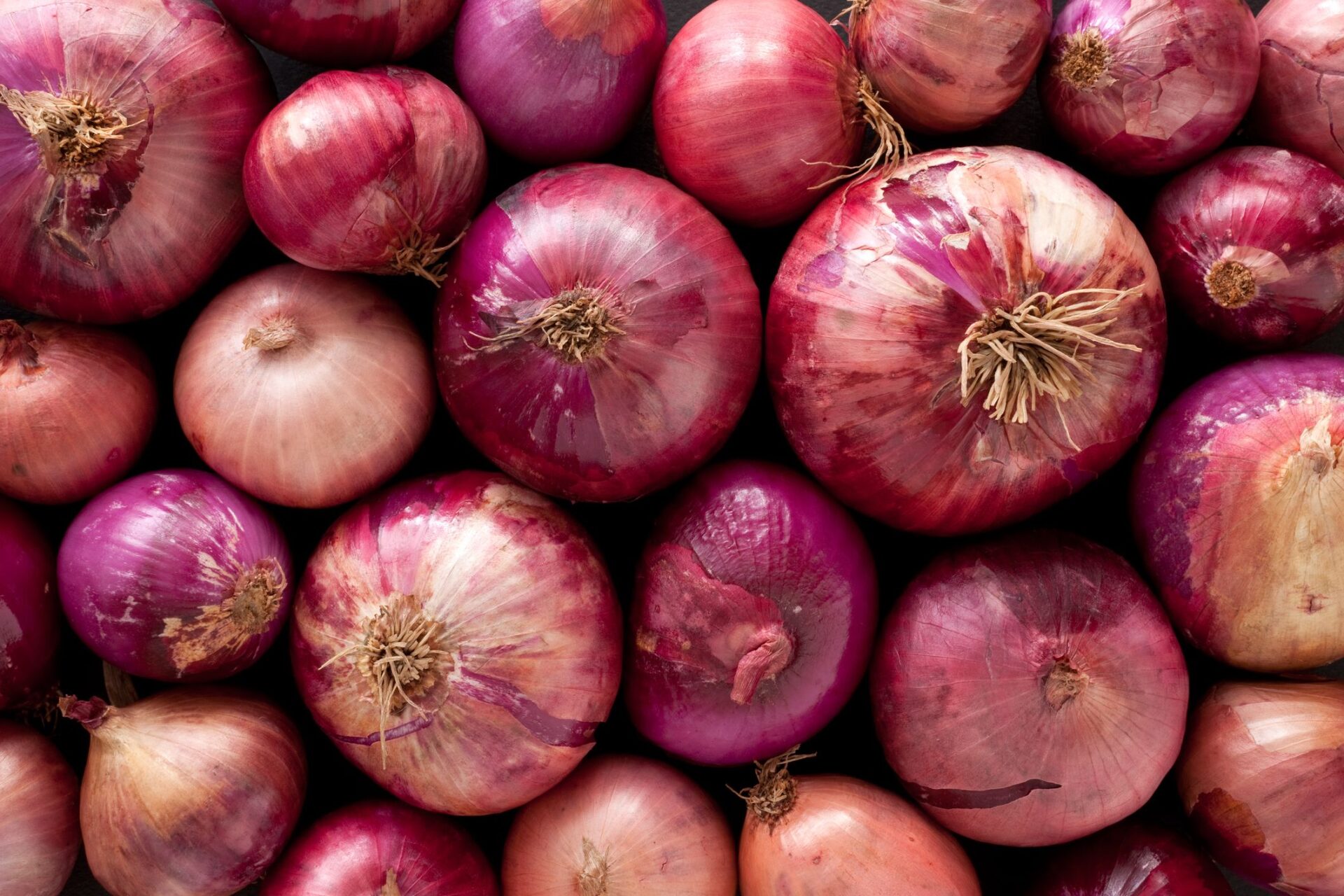 red onions background royalty free image 1596466645