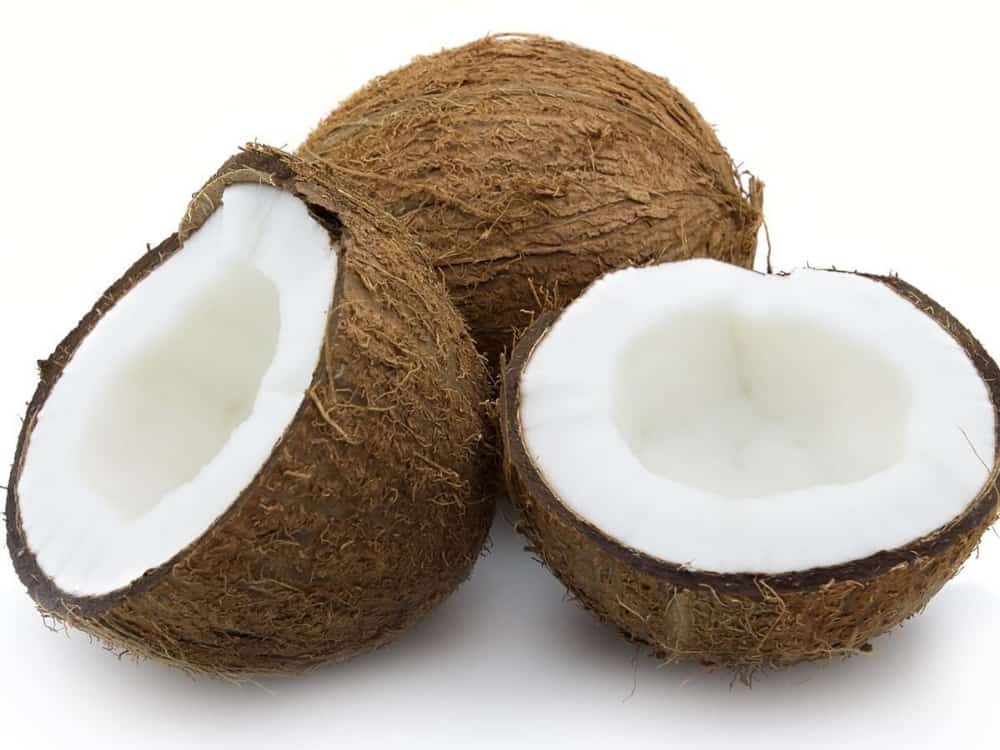 coconut