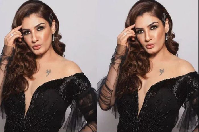 raveena tandon 10 700x464 1