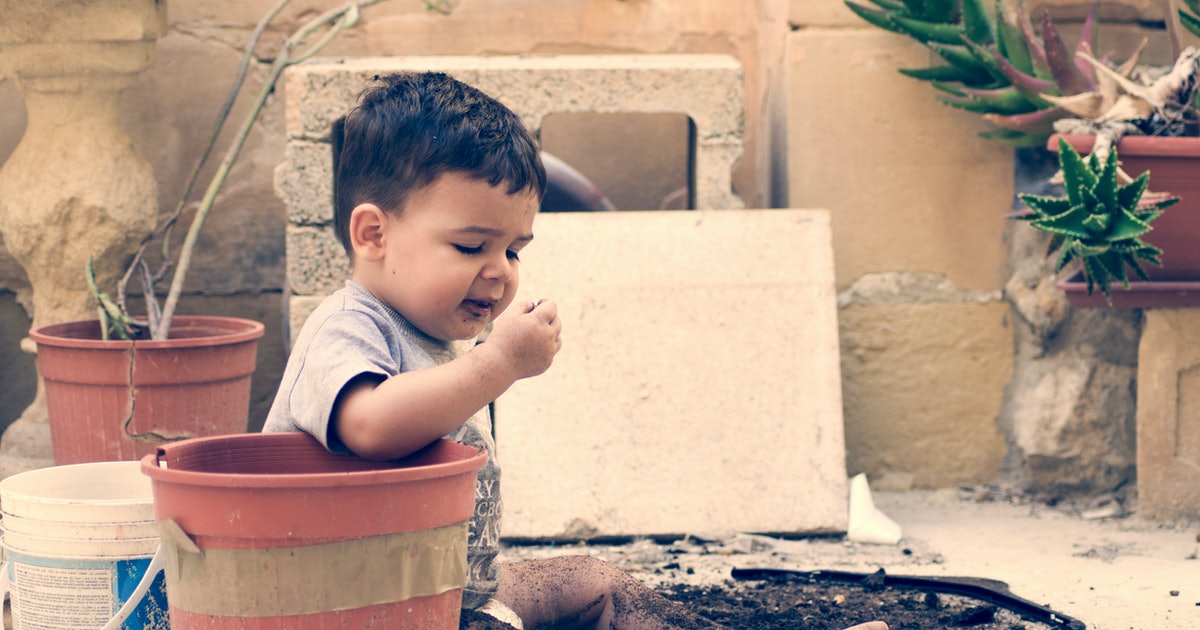 Does your child also have a habit of eating mud? This trick will keep going