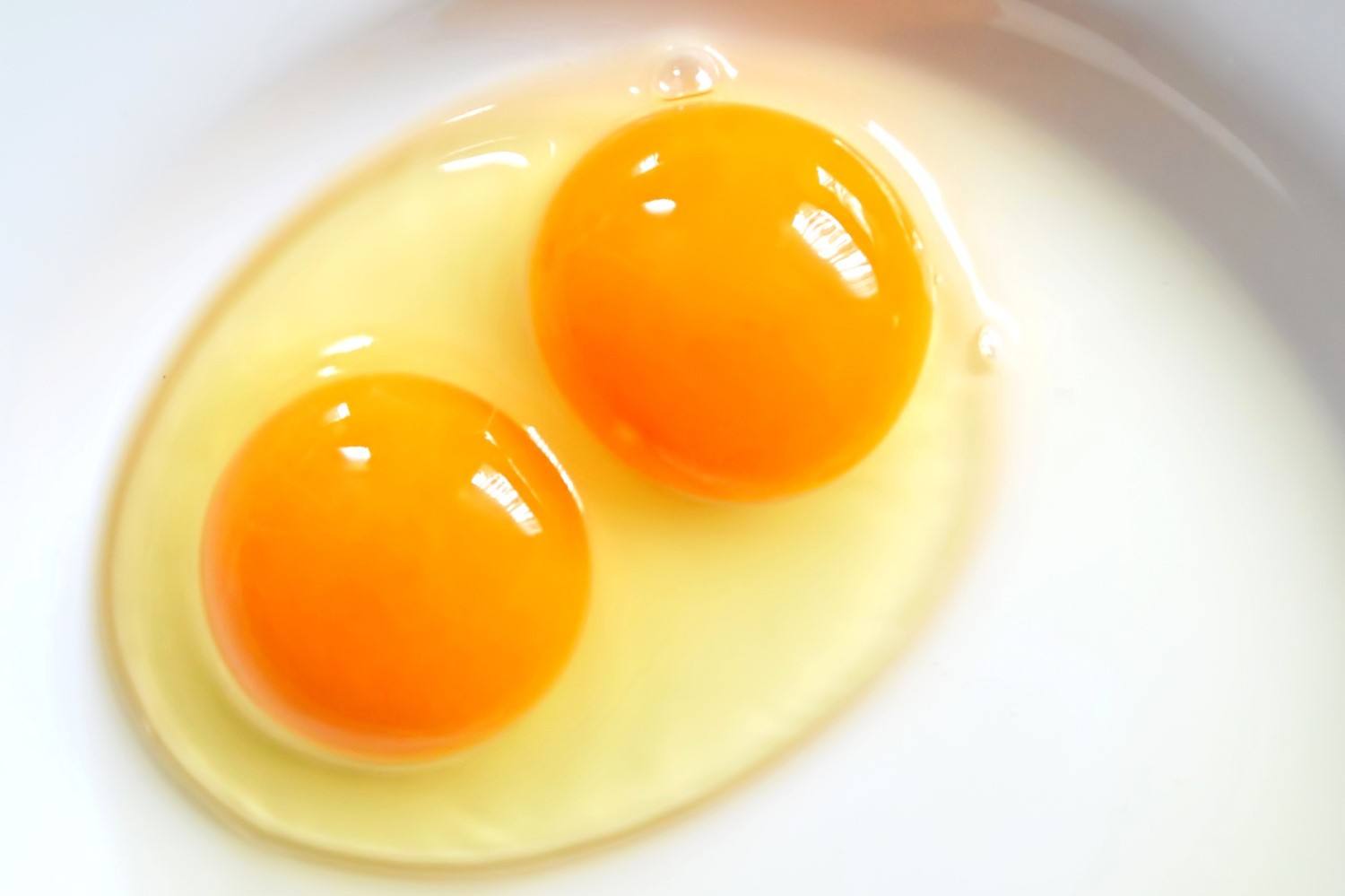 double yolk blog