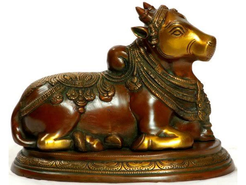 this-is-the-reason-for-darshan-through-the-horns-of-nandi