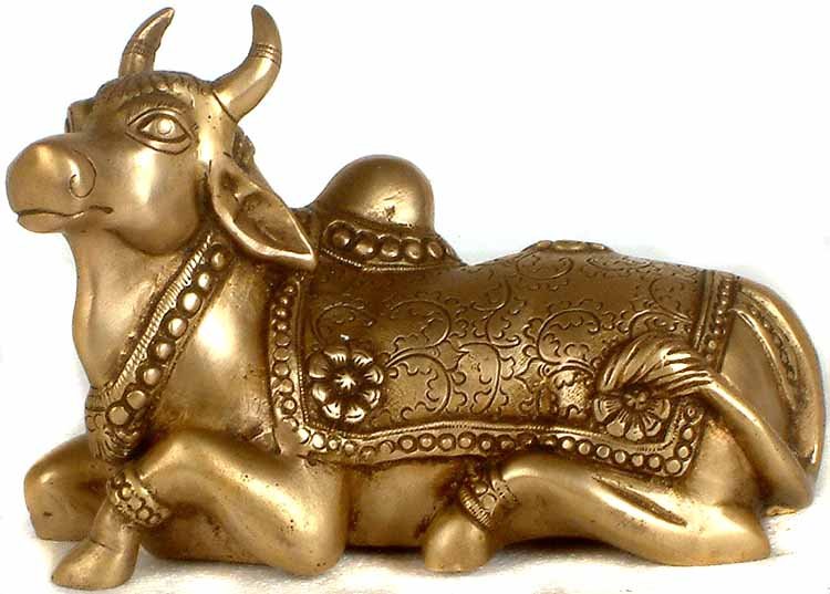 this-is-the-reason-for-darshan-through-the-horns-of-nandi