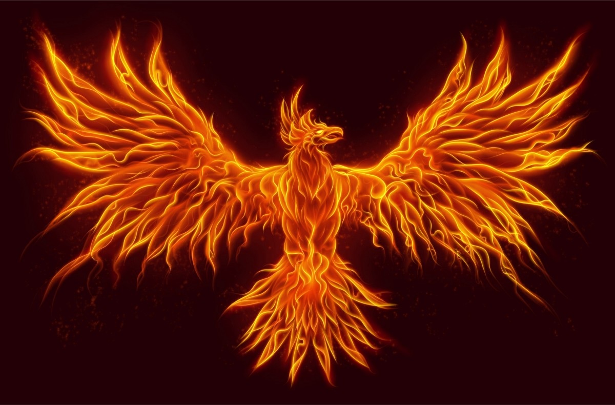 Post a photo of the phoenix in this direction of the house! There will be many benefits