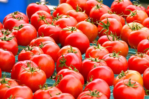 fresh harvested tomatoes 3505325 340