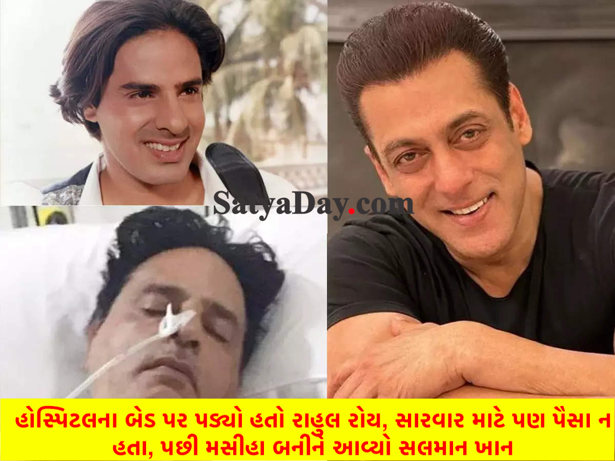 salman khan rahul roy