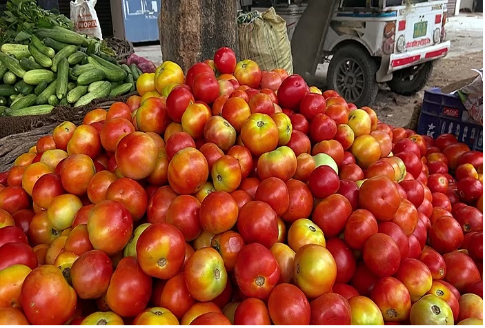 tamatar