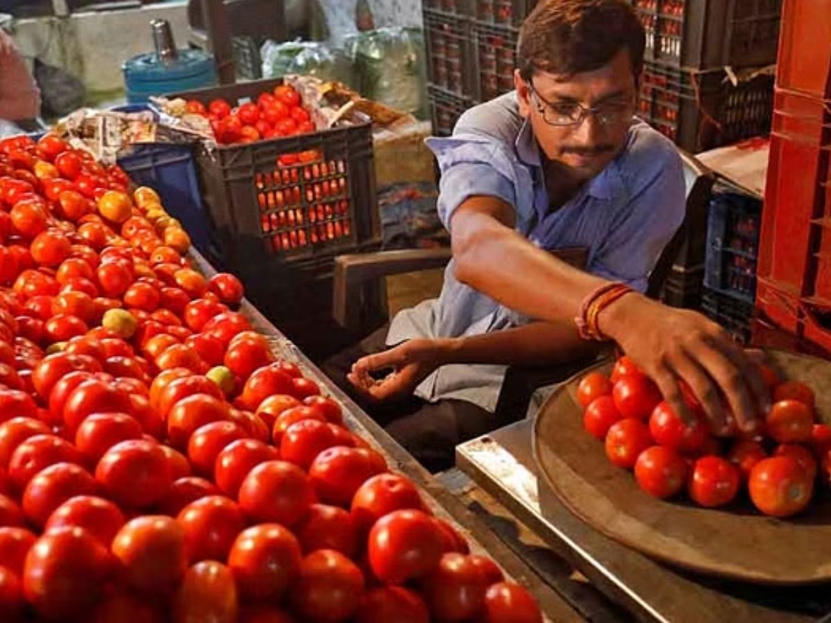 150511 tomato price