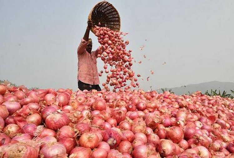 1692453766 520 Export Duty on Onion ડુંગળી તમને ટામેટાની જેમ રડાવી ન