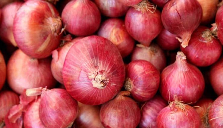 Export Duty on Onion ડુંગળી તમને ટામેટાની જેમ રડાવી ન