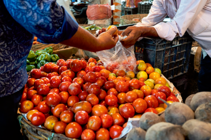 buy tomatoes