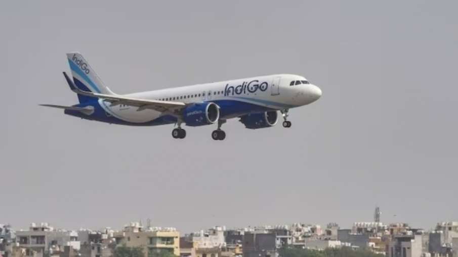 indigo pti 1 1693318489