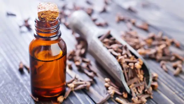 clove oil is beneficial for men