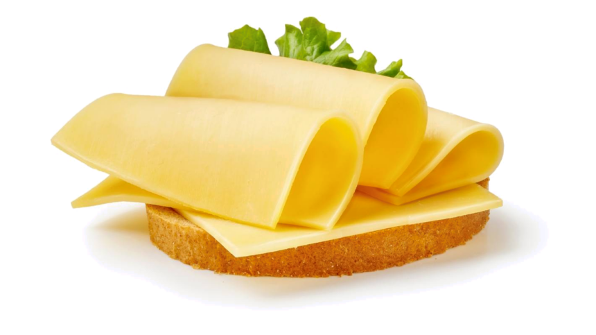 cheese sandwich