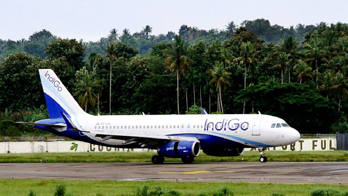 indigo flight 1