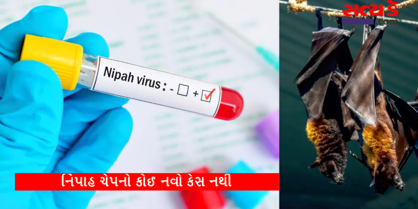 nipah virus 33