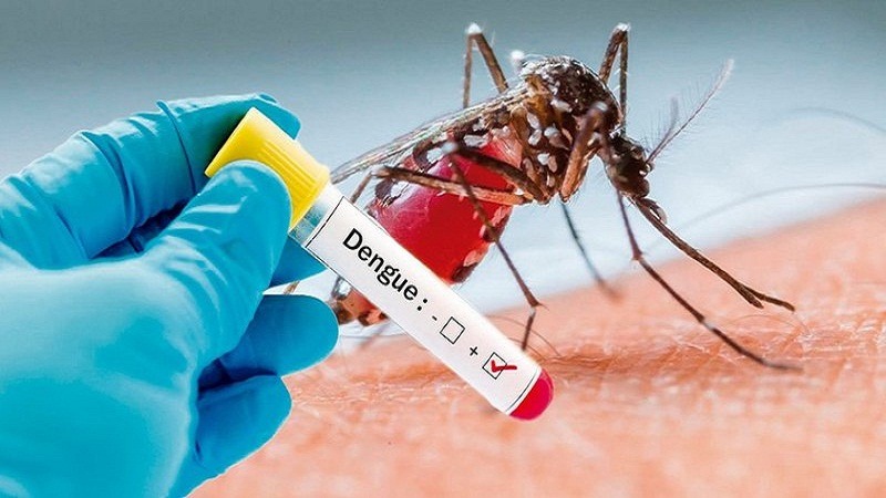 Dengue fever