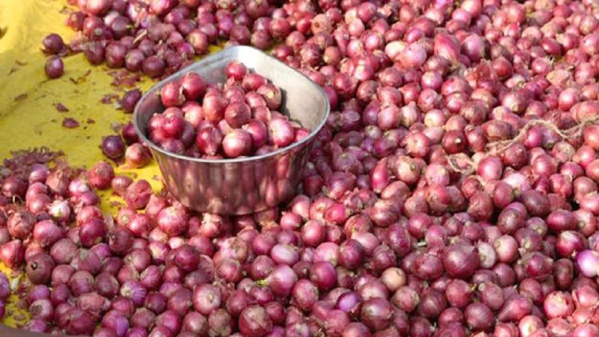 Onion Export પ્રતિબંધ હટાવ્યા બાદ ભારતે 45000 ટનથી વધુ ડુંગળીની