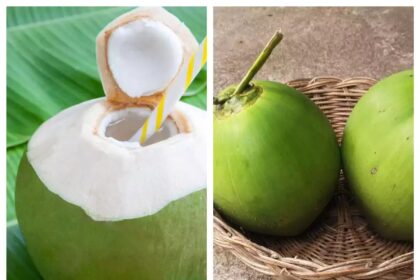 coconut water